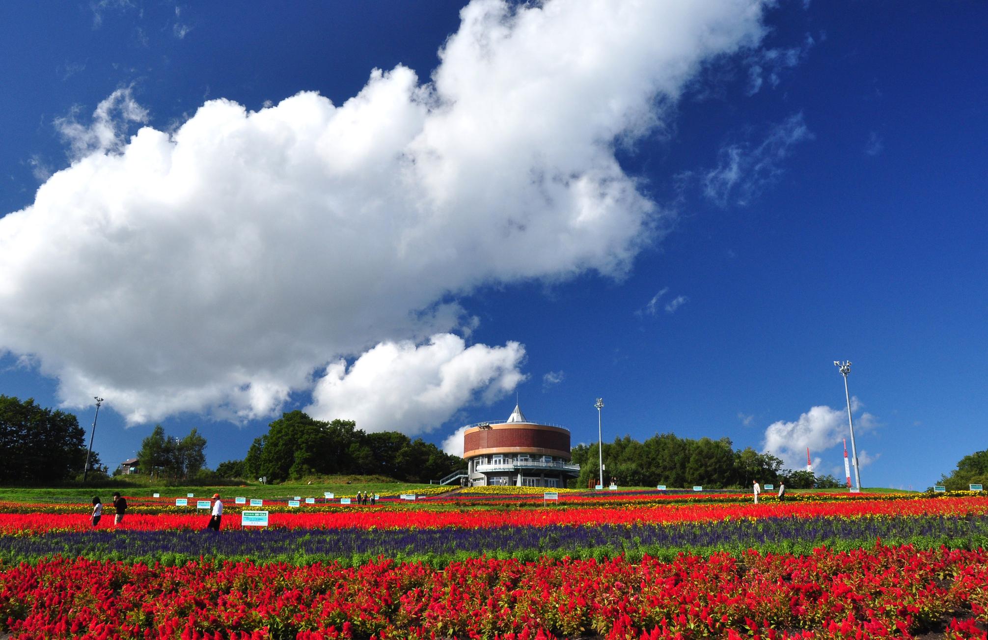 花都花园“Hana・Tento”｜网走市官方旅游网站“Oishii Machi Abashiri”